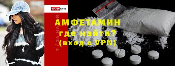 твердый Лагань