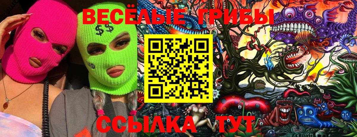 Псилоцибиновые грибы мицелий Можга