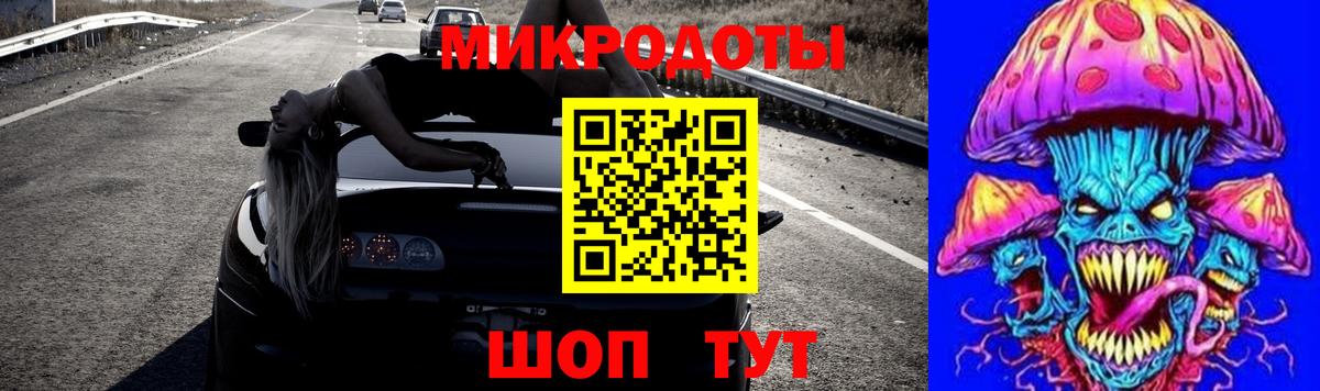 Можга  Галлюциногенные грибы Psilocybe  хочу   Вход с VPN 